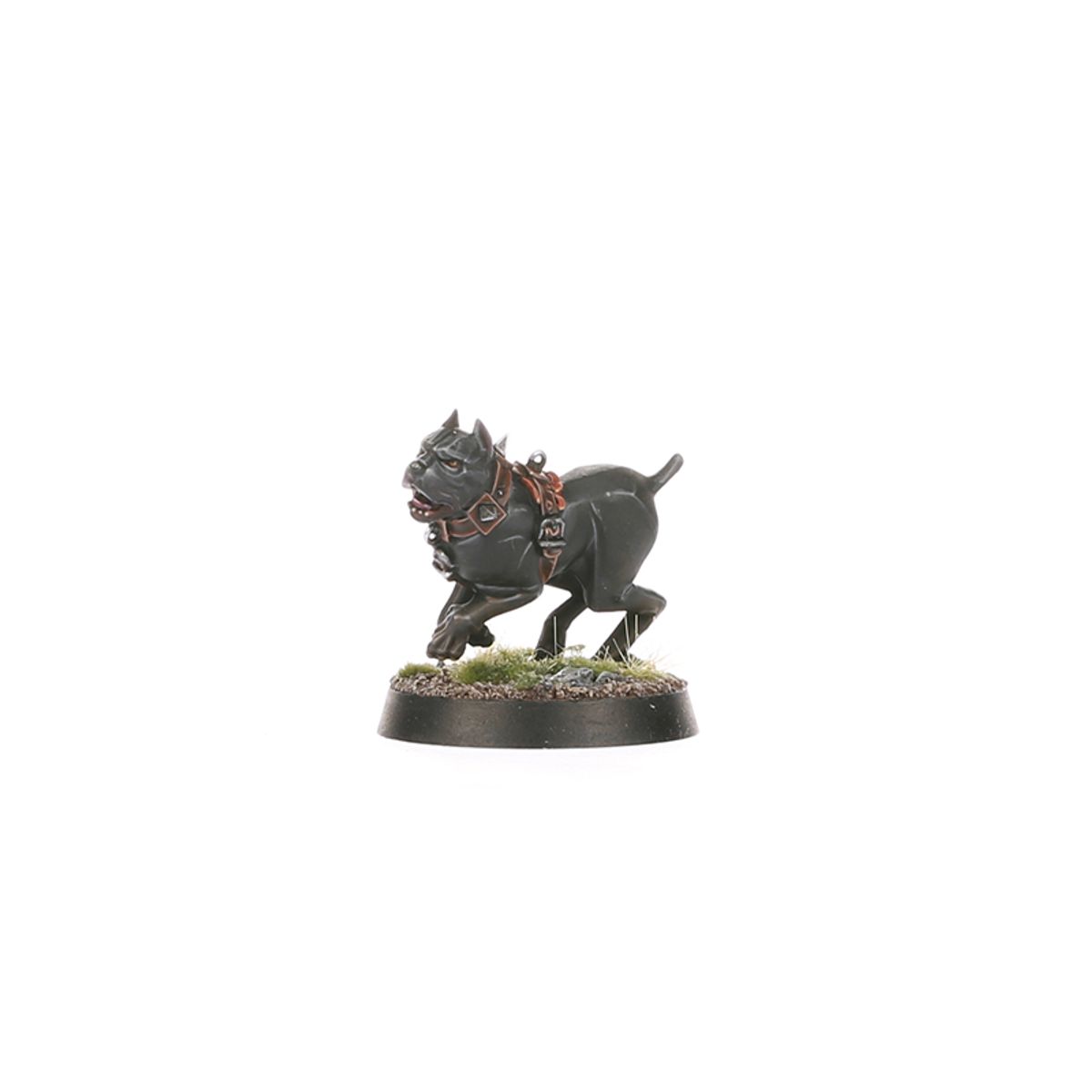 SPEARHEAD:CITIES OF SIGMAR FUSIL PLATOON