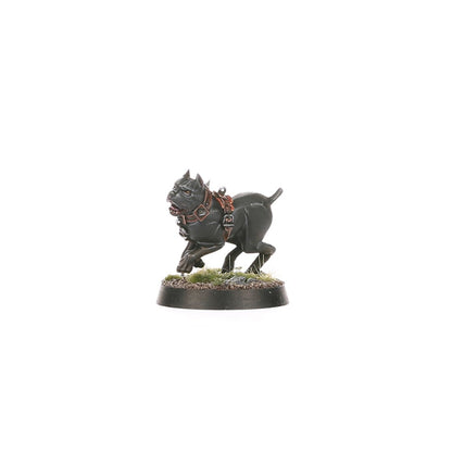 SPEARHEAD:CITIES OF SIGMAR FUSIL PLATOON