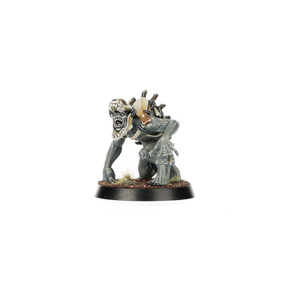 SPEARHEAD: F E COURTS: CHARNEL WATCH