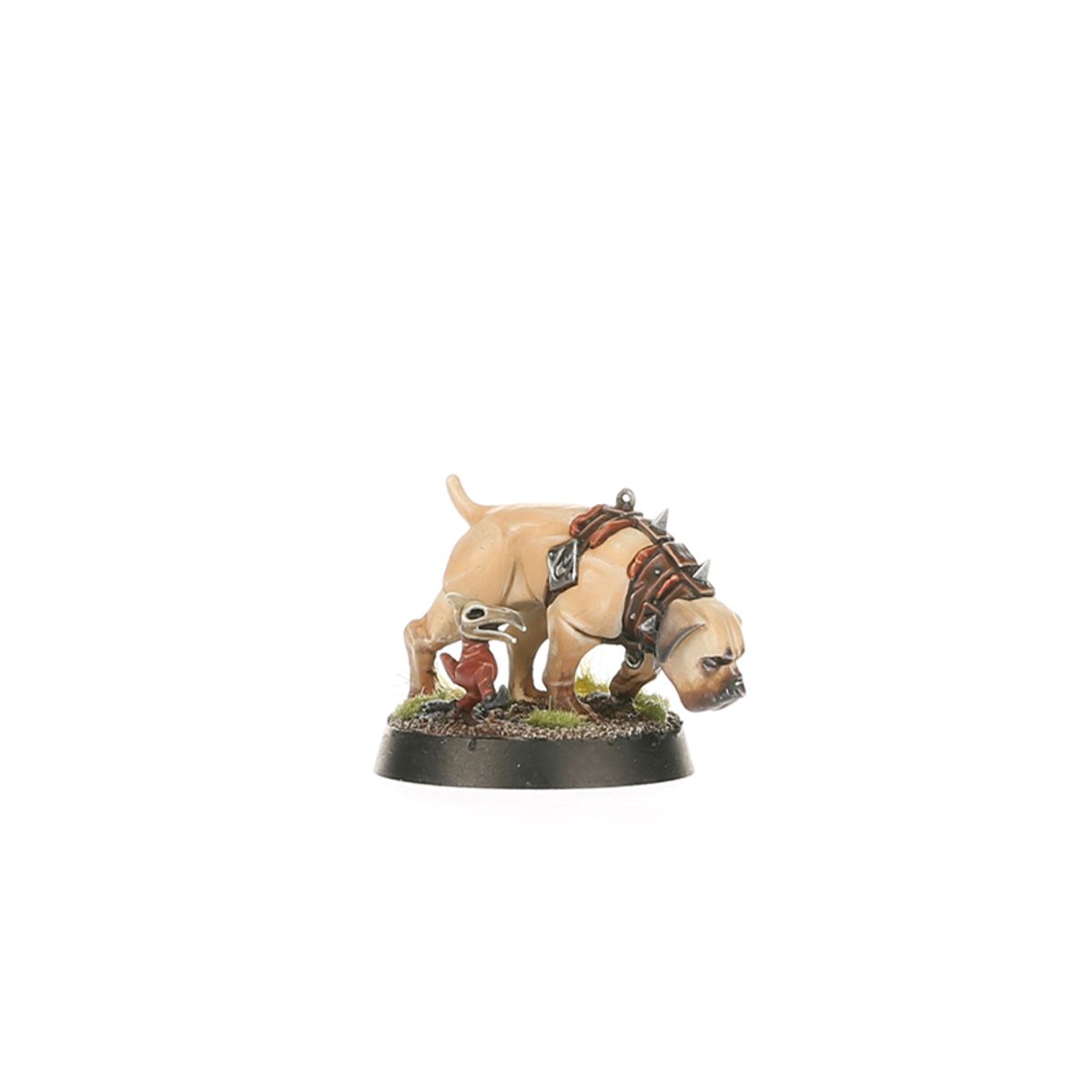 SPEARHEAD:CITIES OF SIGMAR FUSIL PLATOON