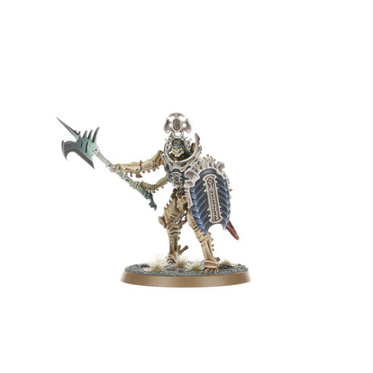 SPEARHEAD: O/BONEREAPERS MORTISAN ELITE