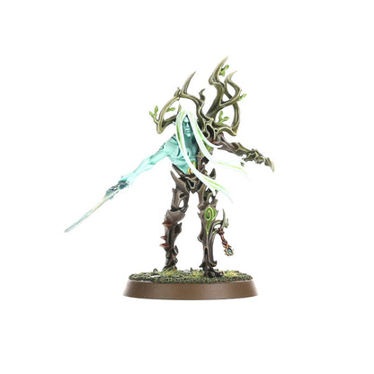 SYLVANETH: TREE REVENANTS