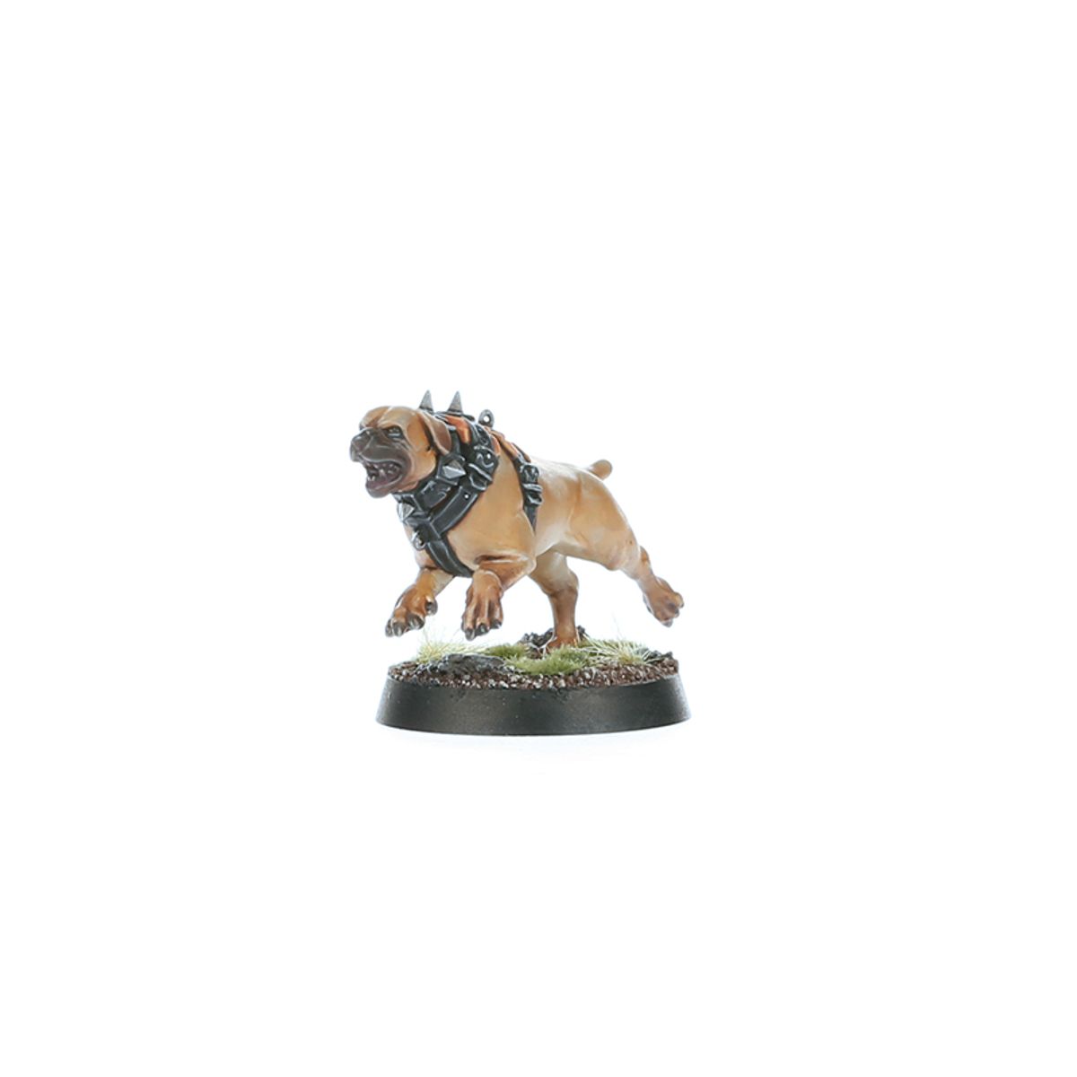 SPEARHEAD:CITIES OF SIGMAR FUSIL PLATOON
