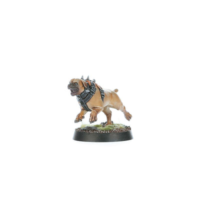 SPEARHEAD:CITIES OF SIGMAR FUSIL PLATOON