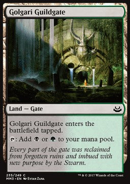Golgari Guildgate - Modern Masters 2017 (Common) [MM3-235]