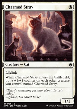 Charmed Stray - War of the Spark (Common) [WAR-8]