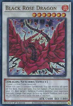Black Rose Dragon (V.2 - Ultra Rare) - Quarter Century Stampede (Ultra Rare) [RA04-057]