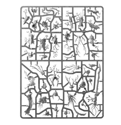 SPEARHEAD: SYLVANETH