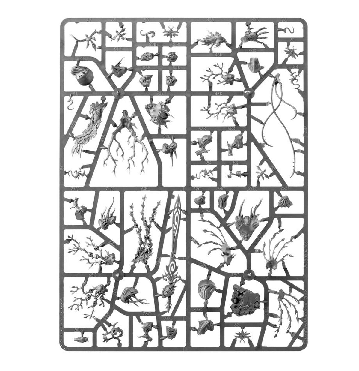 SPEARHEAD: SYLVANETH