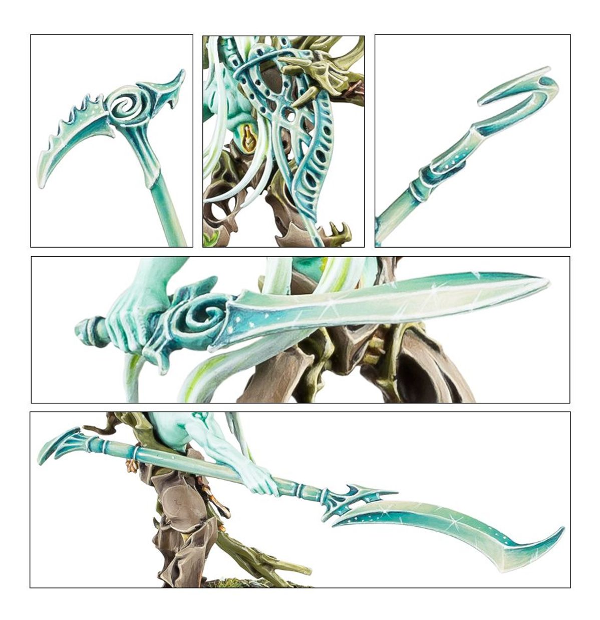 SYLVANETH: TREE REVENANTS