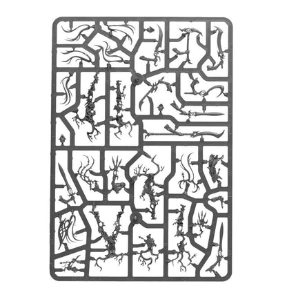 SPEARHEAD: SYLVANETH