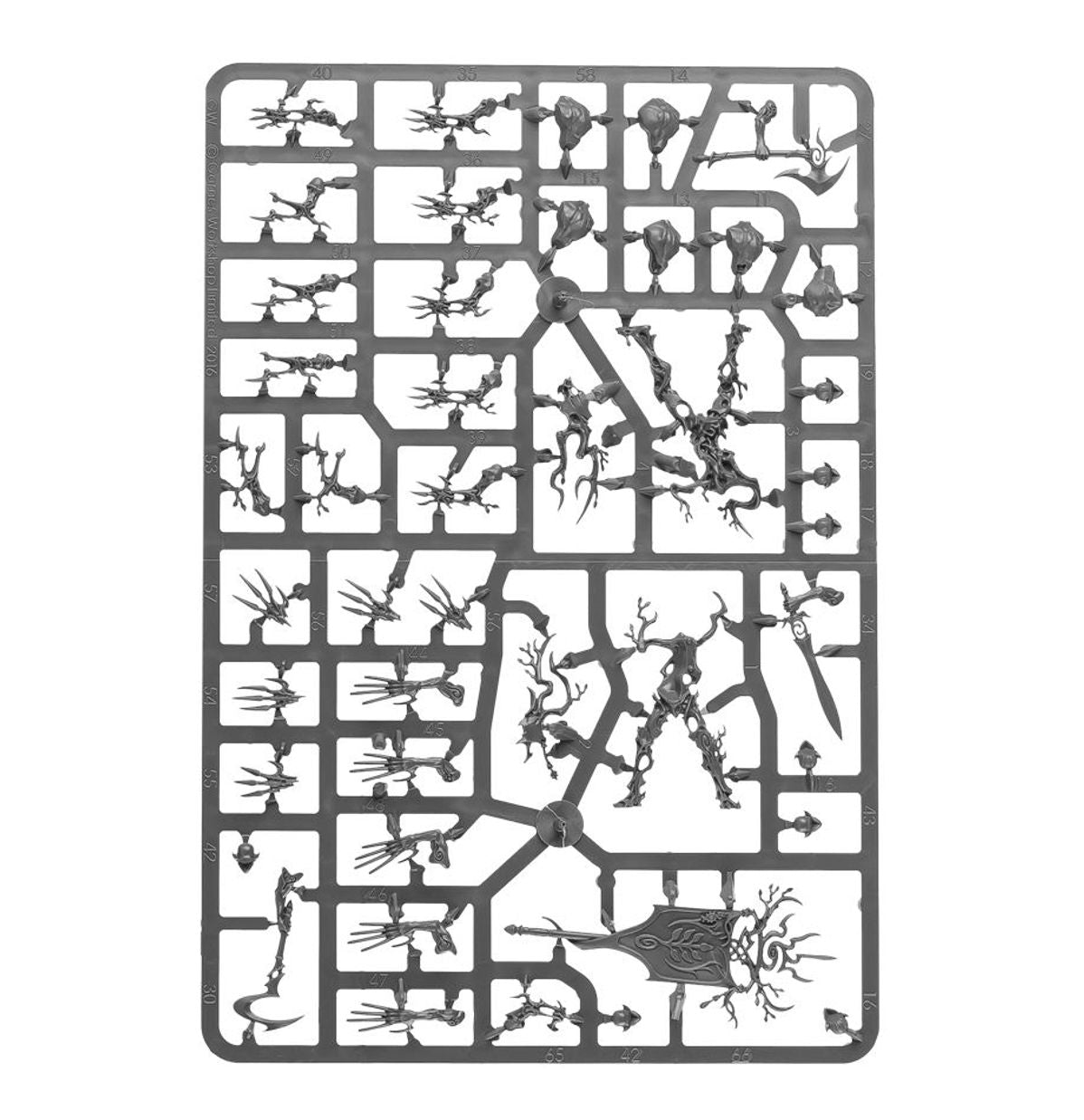 SPEARHEAD: SYLVANETH