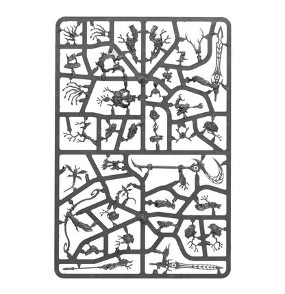 SPEARHEAD: SYLVANETH