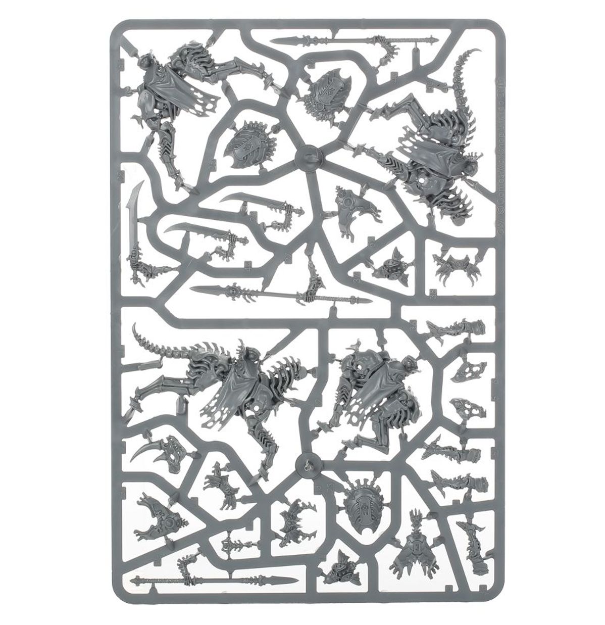 SPEARHEAD: OSSIARCH BONEREAPERS