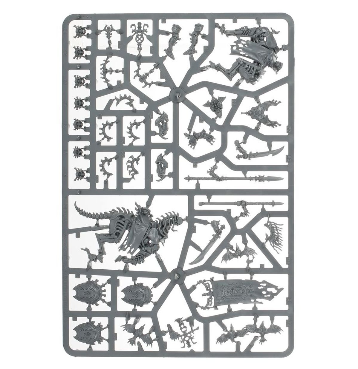 SPEARHEAD: OSSIARCH BONEREAPERS