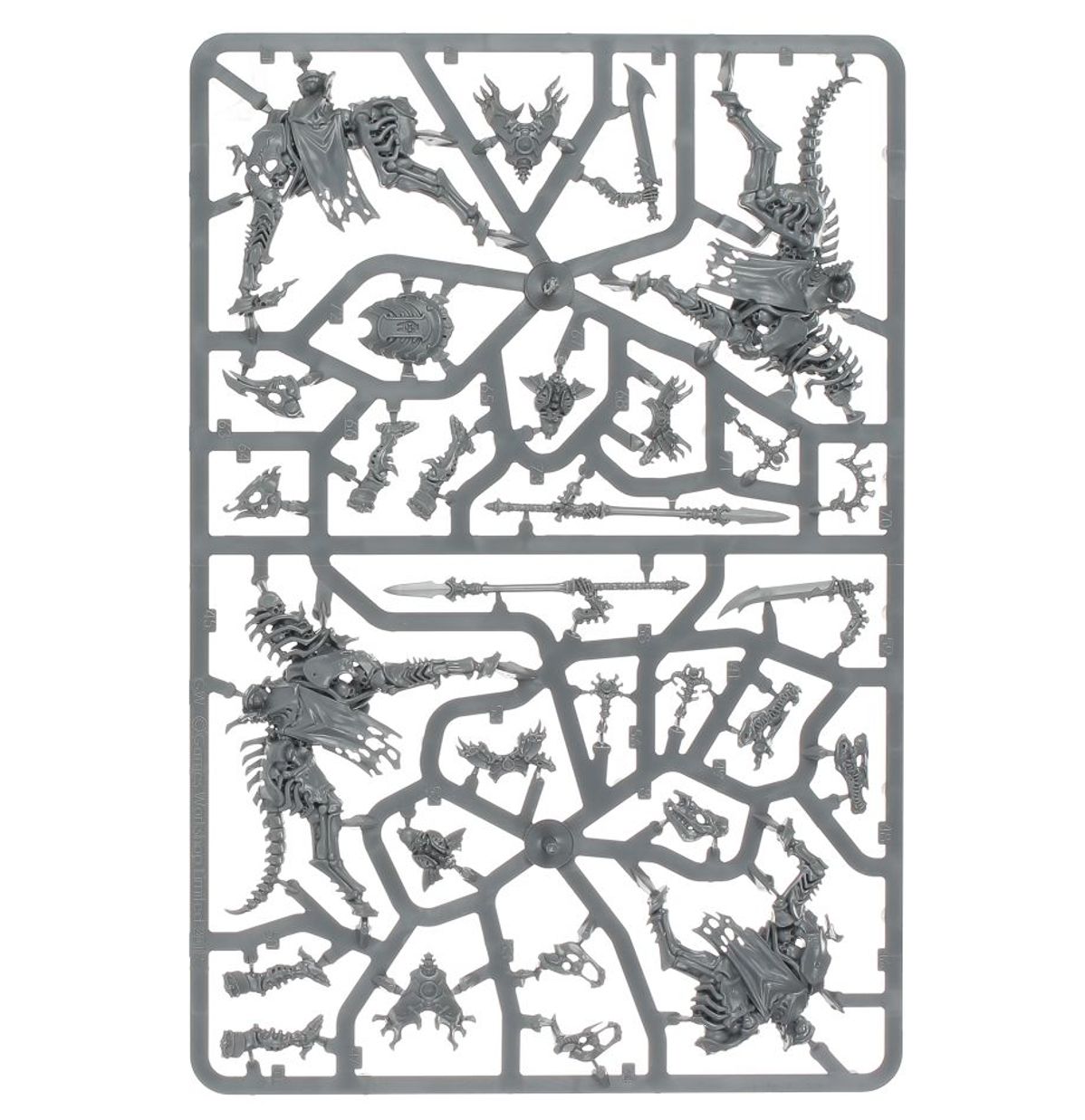 SPEARHEAD: OSSIARCH BONEREAPERS