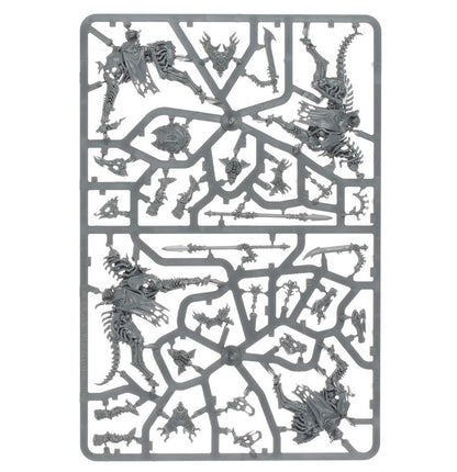 SPEARHEAD: OSSIARCH BONEREAPERS