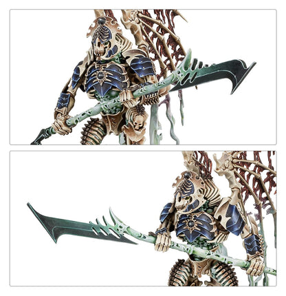 SPEARHEAD: O/BONEREAPERS MORTISAN ELITE