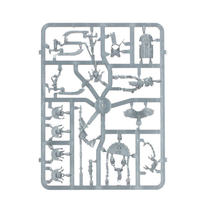 TOMB KINGS OF KHEMRI: TOMB GUARD