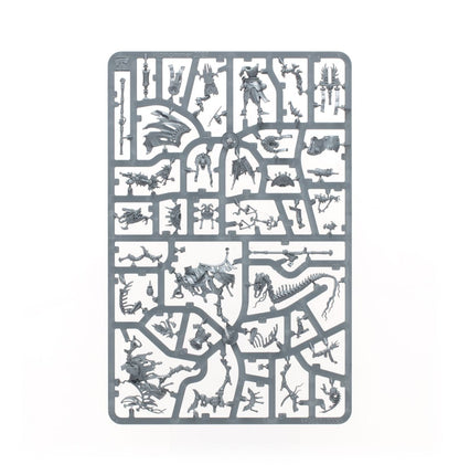 Warhammer: The Old World - Tomb Kings Of Khemri: Liche Priests
